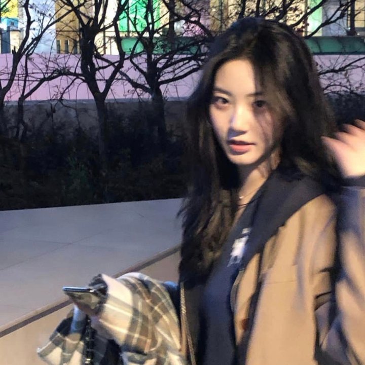 绵羊侦探团
